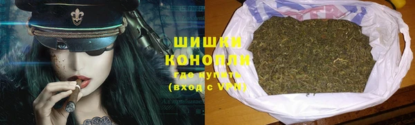 шишки Аркадак