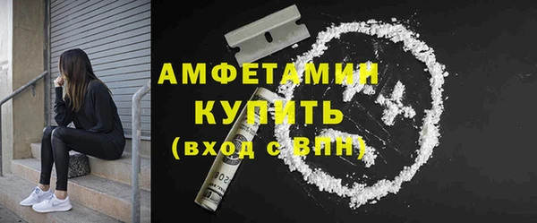 шишки Аркадак