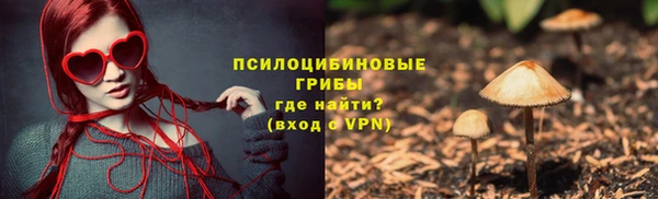 СК Арсеньев