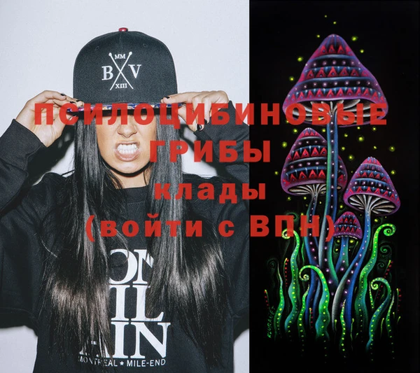шишки Аркадак
