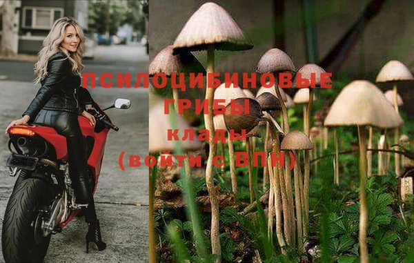 mix Армянск