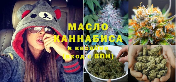шишки Аркадак