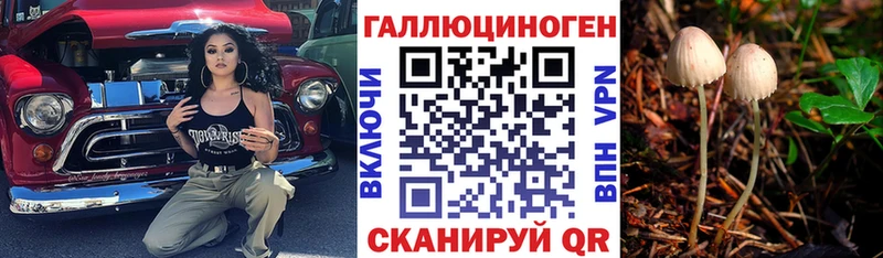 блэк спрут вход  Суздаль  это официальный сайт  Галлюциногенные грибы Psilocybe 
